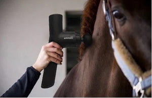 Coffret Cheval et Chien